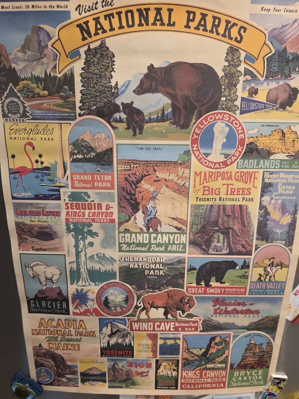 National Geographic Vintage National Parks Poster - Multicolor Scenic Collage
